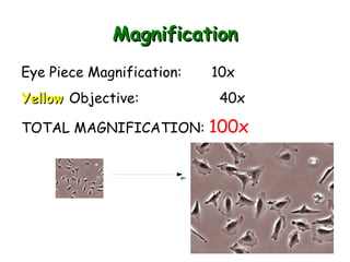 GLO#6: Effective and ethical users of technology 