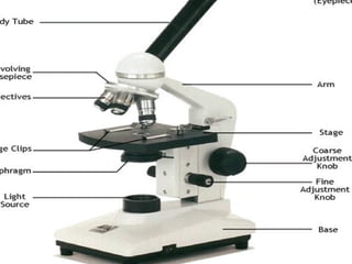 “ Stand Up, Hand Up, Pair Up” 