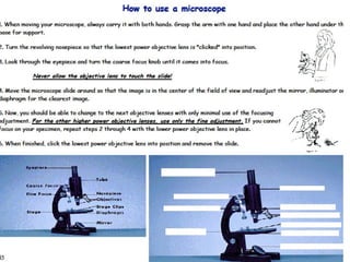 HW: Study for Microscope Quiz   