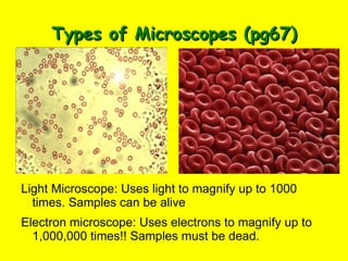 SW BATS SWBAT describe the parts of a microscope 