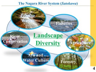 Ayu of the Nagara River System | PDF