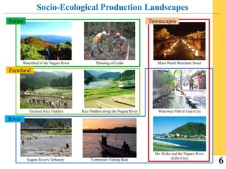 Ayu of the Nagara River System | PDF
