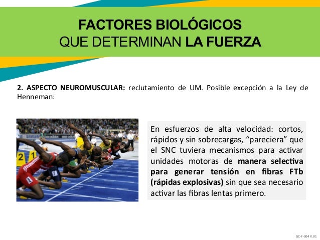 01b factores determinantes de la fuerza 01b factores determinantes de la fuerza