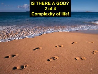 1
IS THERE A GOD?
2 of 4
Complexity of life!
 