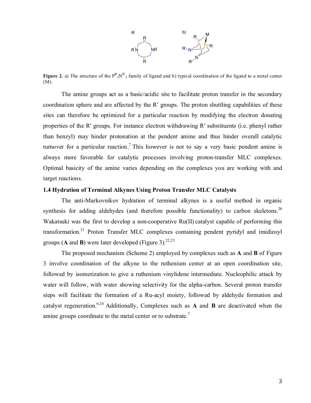 What is a dissertation picture