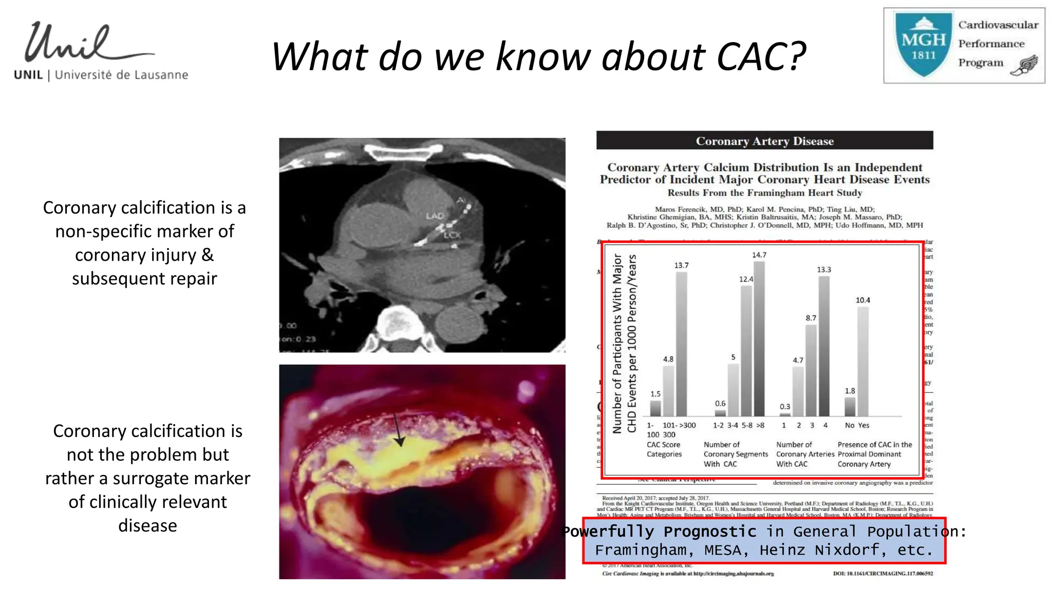 The Misunderstood Role of Coronary Calcium Scoring in Determining ...