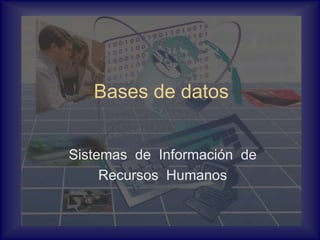 Bases de datos
Sistemas de Información de
Recursos Humanos
 