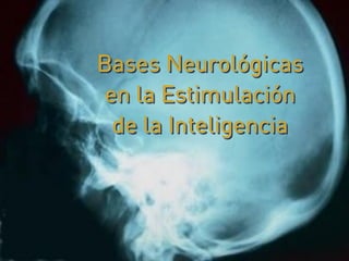 Bases Neurológicas
 en la Estimulación
  de la Inteligencia
 