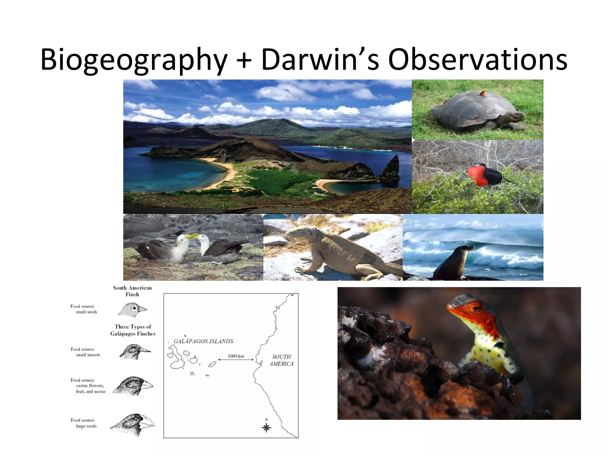 Biogeography + Darwin’s Observations

 