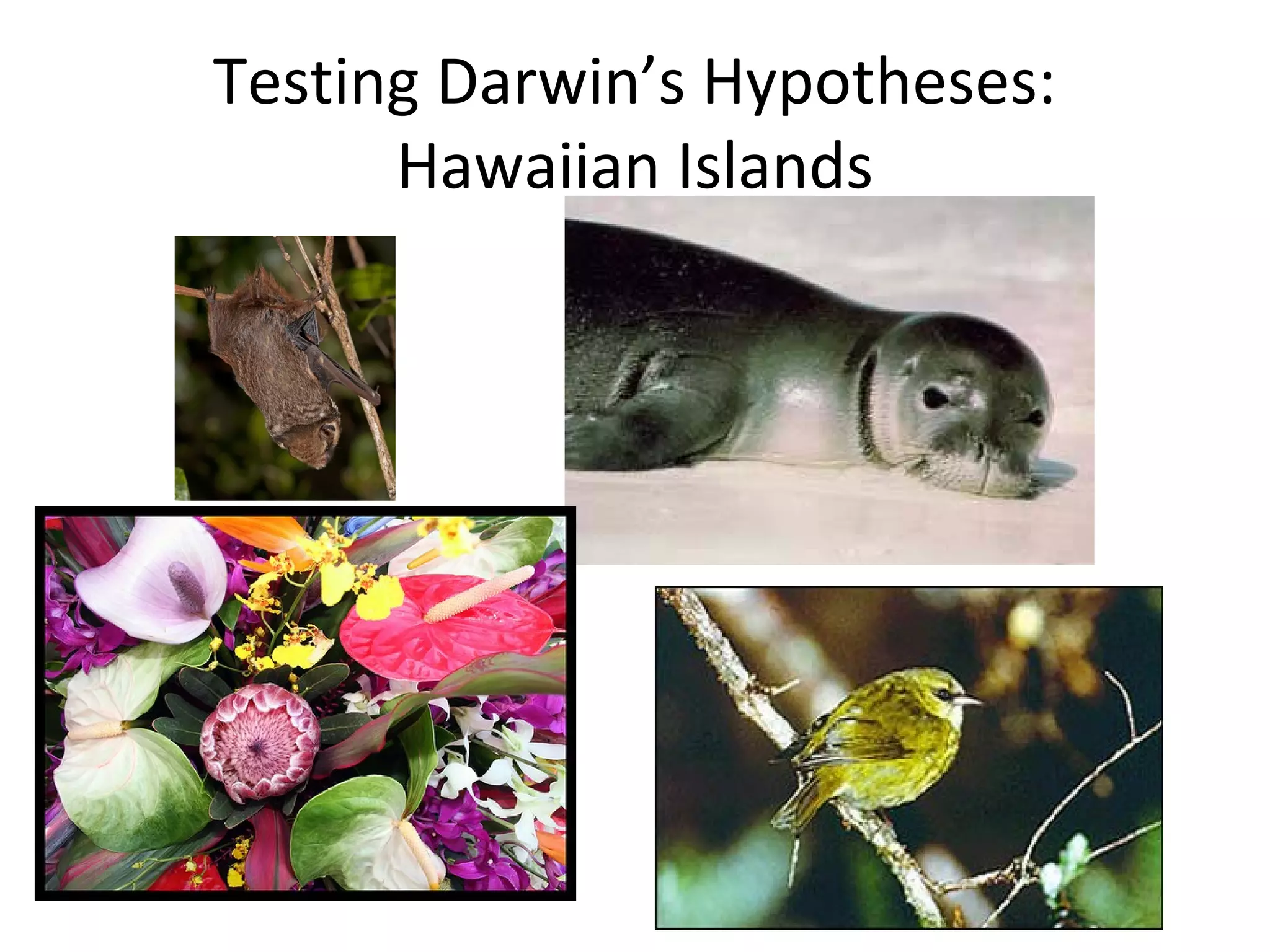 Testing Darwin’s Hypotheses:
Hawaiian Islands

 