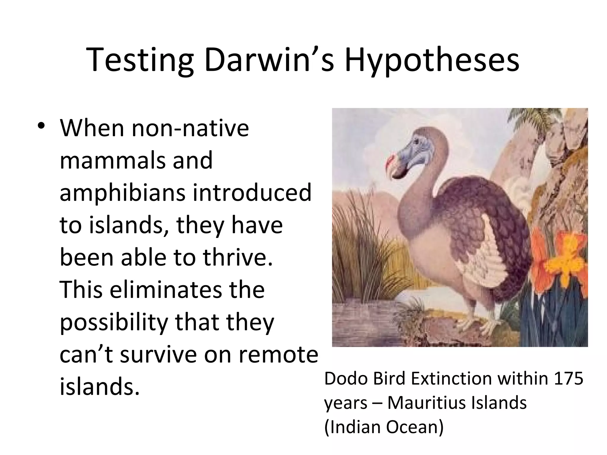 Testing Darwin’s Hypotheses
• When non-native
mammals and
amphibians introduced
to islands, they have
been able to thrive.
This eliminates the
possibility that they
can’t survive on remote
Dodo Bird Extinction within 175
islands.
years – Mauritius Islands
(Indian Ocean)

 