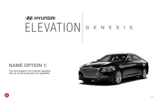 NAME OPTION 1:
This name speaks to the customer upgrading
their car as well as Genesis new capabilities.
{4}
ELEVATION G E N E S I S
 