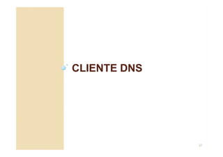 CLIENTE DNS
27
 
