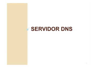 SERVIDOR DNS
1
 