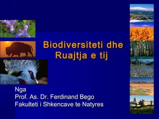 Biodiversiteti dheBiodiversiteti dhe
Ruajtja e tijRuajtja e tij
NgaNga
Prof. As. Dr. Ferdinand BegoProf. As. Dr. Ferdinand Bego
Fakulteti i Shkencave te NatyresFakulteti i Shkencave te Natyres
 