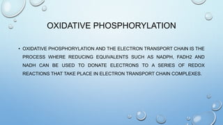 OXIDATIVE PHOSPHORYLATION
• OXIDATIVE PHOSPHORYLATION AND THE ELECTRON TRANSPORT CHAIN IS THE
PROCESS WHERE REDUCING EQUIVALENTS SUCH AS NADPH, FADH2 AND
NADH CAN BE USED TO DONATE ELECTRONS TO A SERIES OF REDOX
REACTIONS THAT TAKE PLACE IN ELECTRON TRANSPORT CHAIN COMPLEXES.
 