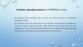 Oxidative phosphorylation (or OXPHOS in short)
• THE PROCESS THAT ACCOUNTS FOR THE HIGH ATP YIELD IS KNOWN AS OXIDATIVE
PHOSPHORYLATION.
• IN GLYCOLYSIS AND THE CITRIC-ACID CYCLE GENERATE OTHER PRODUCTS BESIDES ATP
AND GTP, NAMELY NADH AND FADH2. THESE PRODUCTS ARE MOLECULES THAT ARE
OXIDIZED (I.E., GIVE UP ELECTRONS) SPONTANEOUSLY. THE BODY USES THESE REDUCING
AGENTS (NADH AND FADH2) IN AN OXIDATION-REDUCTION REACTION
 