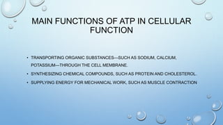 MAIN FUNCTIONS OF ATP IN CELLULAR
FUNCTION
• TRANSPORTING ORGANIC SUBSTANCES—SUCH AS SODIUM, CALCIUM,
POTASSIUM—THROUGH THE CELL MEMBRANE.
• SYNTHESIZING CHEMICAL COMPOUNDS, SUCH AS PROTEIN AND CHOLESTEROL.
• SUPPLYING ENERGY FOR MECHANICAL WORK, SUCH AS MUSCLE CONTRACTION
 