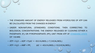 • THE STANDARD AMOUNT OF ENERGY RELEASED FROM HYDROLYSIS OF ATP CAN
BE CALCULATED FROM THE CHANGES IN ENERGY
• UNDER NON-NATURAL (STANDARD) CONDITIONS, THEN CORRECTING TO
BIOLOGICAL CONCENTRATIONS. THE ENERGY RELEASED BY CLEAVING EITHER A
PHOSPHATE (PI) OR PYROPHOSPHATE (PPI) UNIT FROM ATP AT STANDARD STATE
OF 1 M ARE:
• ATP + H2O → ADP + PIΔG˚ = −30.5 KJ/MOL (−7.3 KCAL/MOL)
• ATP + H2O → AMP + PPI ΔG˚ = −45.6 KJ/MOL (−10.9 KCAL/MOL)
 