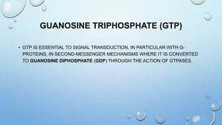 GUANOSINE TRIPHOSPHATE (GTP)
• GTP IS ESSENTIAL TO SIGNAL TRANSDUCTION, IN PARTICULAR WITH G-
PROTEINS, IN SECOND-MESSENGER MECHANISMS WHERE IT IS CONVERTED
TO GUANOSINE DIPHOSPHATE (GDP) THROUGH THE ACTION OF GTPASES.
 