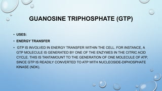 GUANOSINE TRIPHOSPHATE (GTP)
• USES:
• ENERGY TRANSFER
• GTP IS INVOLVED IN ENERGY TRANSFER WITHIN THE CELL. FOR INSTANCE, A
GTP MOLECULE IS GENERATED BY ONE OF THE ENZYMES IN THE CITRIC ACID
CYCLE. THIS IS TANTAMOUNT TO THE GENERATION OF ONE MOLECULE OF ATP,
SINCE GTP IS READILY CONVERTED TO ATP WITH NUCLEOSIDE-DIPHOSPHATE
KINASE (NDK).
 