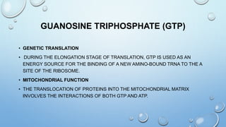 GUANOSINE TRIPHOSPHATE (GTP)
• GENETIC TRANSLATION
• DURING THE ELONGATION STAGE OF TRANSLATION, GTP IS USED AS AN
ENERGY SOURCE FOR THE BINDING OF A NEW AMINO-BOUND TRNA TO THE A
SITE OF THE RIBOSOME.
• MITOCHONDRIAL FUNCTION
• THE TRANSLOCATION OF PROTEINS INTO THE MITOCHONDRIAL MATRIX
INVOLVES THE INTERACTIONS OF BOTH GTP AND ATP.
 