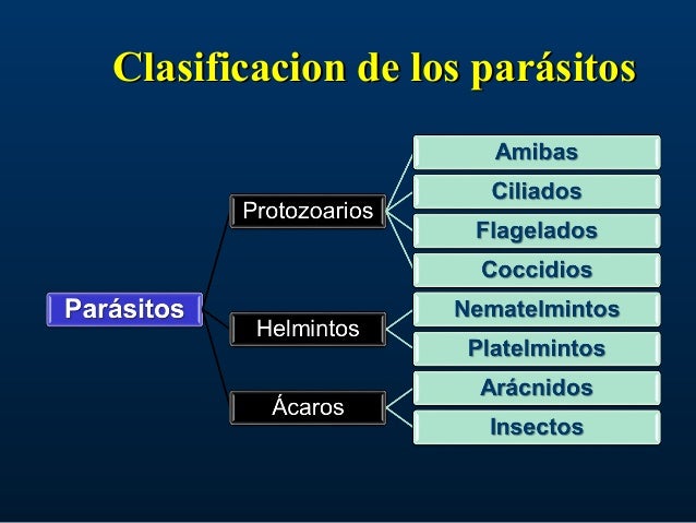 01 biologia del_parasitismo
