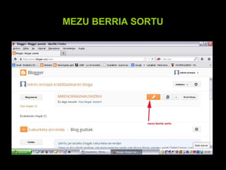 MEZU BERRIA SORTU

 