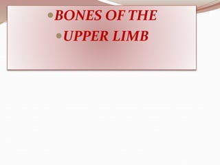 BONES OF THE
UPPER LIMB
 