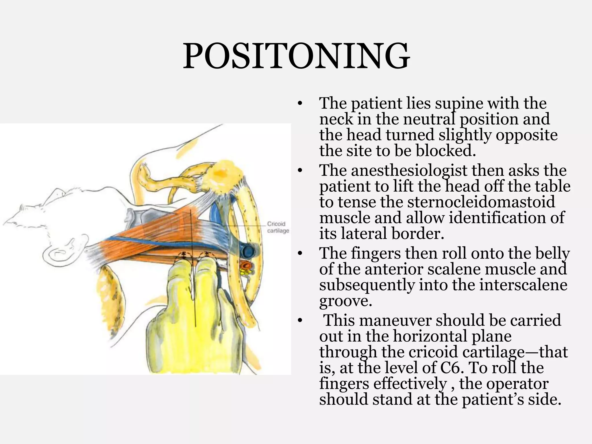 POSITONING
• The patient lies supine with the
neck in the neutral position and
the head turned slightly opposite
the site to be blocked.
• The anesthesiologist then asks the
patient to lift the head off the table
to tense the sternocleidomastoid
muscle and allow identification of
its lateral border.
• The fingers then roll onto the belly
of the anterior scalene muscle and
subsequently into the interscalene
groove.
• This maneuver should be carried
out in the horizontal plane
through the cricoid cartilage—that
is, at the level of C6. To roll the
fingers effectively , the operator
should stand at the patient’s side.
 