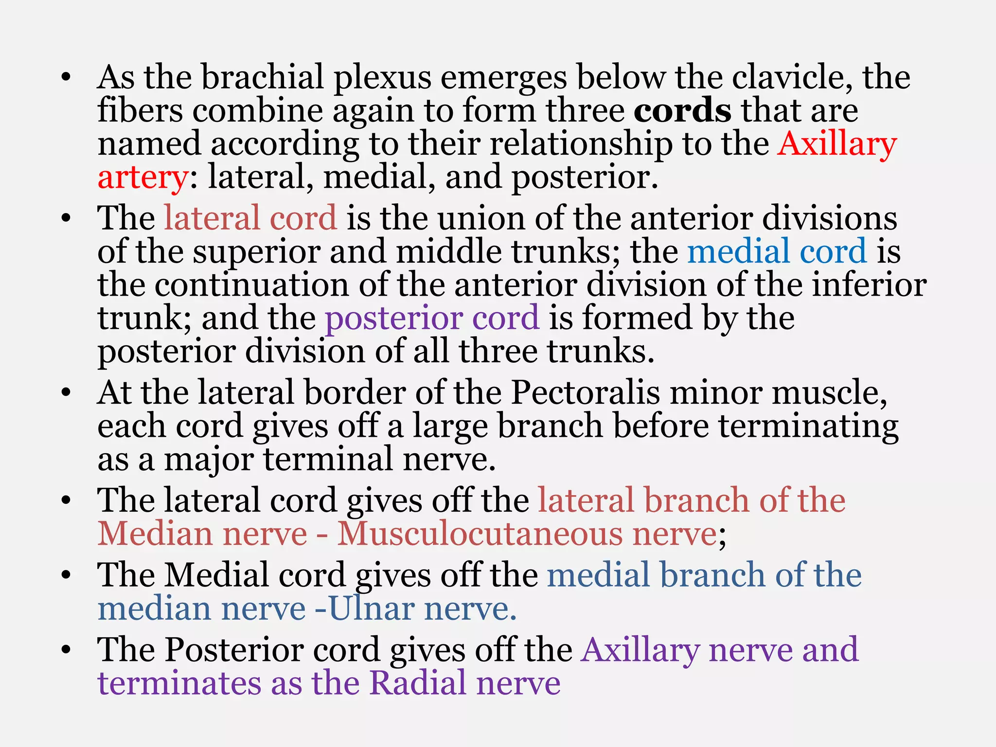 • As the brachial plexus emerges below the clavicle, the
fibers combine again to form three cords that are
named according to their relationship to the Axillary
artery: lateral, medial, and posterior.
• The lateral cord is the union of the anterior divisions
of the superior and middle trunks; the medial cord is
the continuation of the anterior division of the inferior
trunk; and the posterior cord is formed by the
posterior division of all three trunks.
• At the lateral border of the Pectoralis minor muscle,
each cord gives off a large branch before terminating
as a major terminal nerve.
• The lateral cord gives off the lateral branch of the
Median nerve - Musculocutaneous nerve;
• The Medial cord gives off the medial branch of the
median nerve -Ulnar nerve.
• The Posterior cord gives off the Axillary nerve and
terminates as the Radial nerve
 