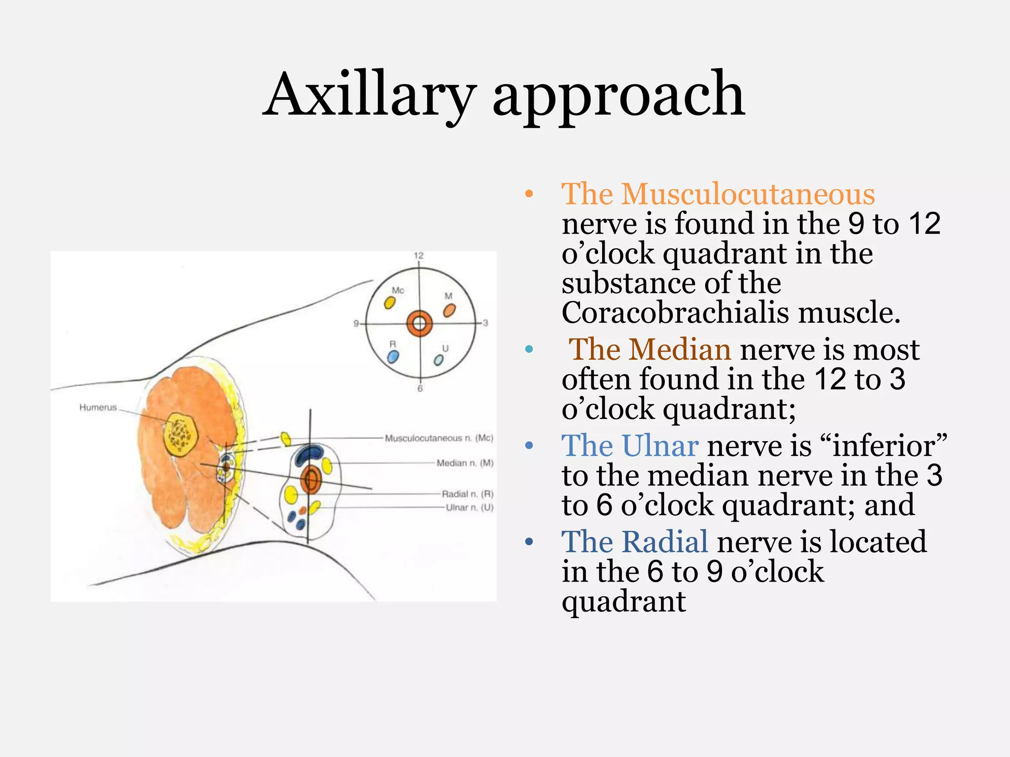 Axillary approach
• The Musculocutaneous
nerve is found in the 9 to 12
o’clock quadrant in the
substance of the
Coracobrachialis muscle.
• The Median nerve is most
often found in the 12 to 3
o’clock quadrant;
• The Ulnar nerve is “inferior”
to the median nerve in the 3
to 6 o’clock quadrant; and
• The Radial nerve is located
in the 6 to 9 o’clock
quadrant
 