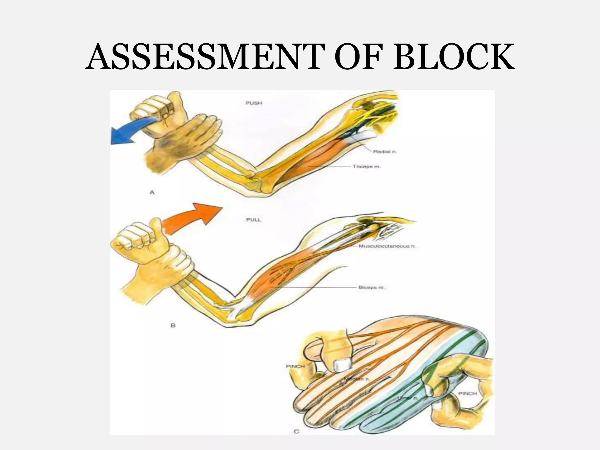 ASSESSMENT OF BLOCK
 