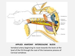 APPLIED ANATOMY INTERSCALENE BLOCK
Vertebral artery beginning its route towards the brain at the
level of the C6 through the root of the transverse process of
Cervical vertebrae.
 