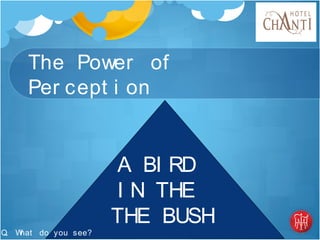 The Power of
Per cept i on
Q. What do you see?
A BI RD
I N THE
THE BUSH
 