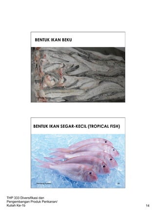 THP 333 Diversifikasi dan
Pengembangan Produk Perikanan/
Kuliah Ke-1b 14
BENTUK IKAN BEKU
Bambang Riyanto 27
BENTUK IKAN SEGAR-KECIL (TROPICAL FISH)
Bambang Riyanto 28
 