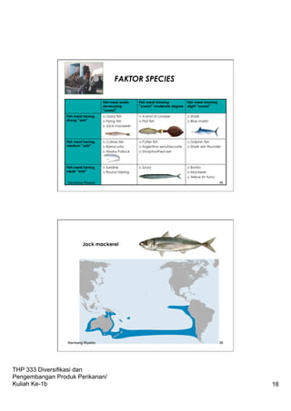 THP 333 Diversifikasi dan
Pengembangan Produk Perikanan/
Kuliah Ke-1b 18
Fish meat easily
developing
“suwari”
Fish meat showing
“suwari” moderate degree
Fish meat showing
slight “suwari”
Fish meat having
strong “ashi”
p  Lizard fish
p  Flying fish
p  Jack mackerel
p  A kind of croaker
p  Flat fish
p  Shark
p  Blue marlin
Fish meat having
medium “ashi”
p  Cutlass fish
p  Barracuda
p  Alaska Pollock
p  Puffer fish
p  Argentina senufascuate
p  Strorptoothed eel
p  Dolphin fish
p  Shark skin flounder
Fish meat having
weak “ashi”
p  Sardine
p  Round herring
p  Saury p  Bonito
p  Mackerel
p  Yellow fin tuna
FAKTOR SPECIES
Bambang Riyanto 35
Jack mackerel
Bambang Riyanto 36
 