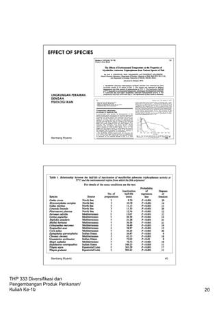 THP 333 Diversifikasi dan
Pengembangan Produk Perikanan/
Kuliah Ke-1b 20
EFFECT OF SPECIES
LINGKUNGAN PERAIRAN
DENGAN
FISIOLOGI IKAN
Bambang Riyanto 39
Bambang Riyanto 40
 
