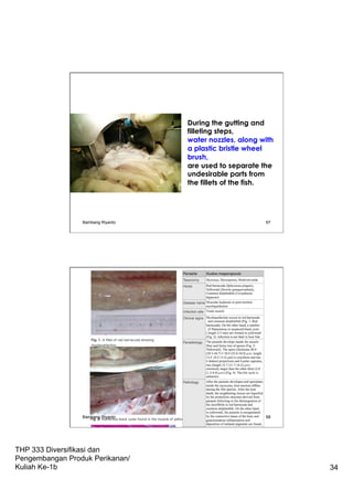 THP 333 Diversifikasi dan
Pengembangan Produk Perikanan/
Kuliah Ke-1b 34
During the gutting and
filleting steps,
water nozzles, along with
a plastic bristle wheel
brush,
are used to separate the
undesirable parts from
the fillets of the fish.
Bambang Riyanto 67
Bambang Riyanto 68
 