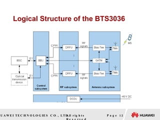 Logical Structure of the BTS3036 Page  