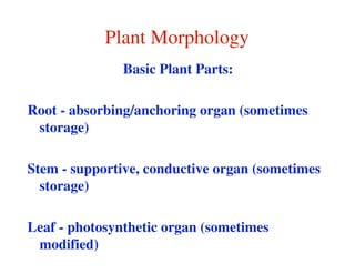 Plant Morphology
               Basic Plant Parts:

Root - absorbing/anchoring organ (sometimes
 storage)

Stem - supportive, conductive organ (sometimes
  storage)

Leaf - photosynthetic organ (sometimes
 modified)
 