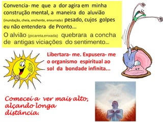 Convencia- me que a dor agira em minha
construção mental, a maneira do aluvião
(inundação, cheia, enchente, enxurrada) pesado, cujos golpes
eu não entendera de Pronto...
O alvião (picareta,enxada) quebrara a concha
de antigas viciações do sentimento...
Libertara- me. Expusera- me
o organismo espiritual ao
sol da bondade infinita...
Comecei a ver mais alto,
alçando longa
distância.
 