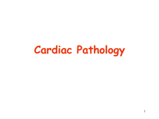1
Cardiac Pathology
 