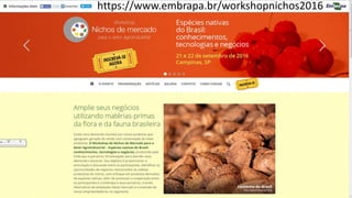 https://www.embrapa.br/workshopnichos2016
 