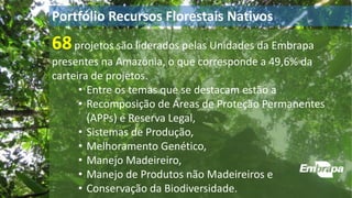 Portfólio Recursos Florestais Nativos
68projetos são liderados pelas Unidades da Embrapa
presentes na Amazônia, o que corresponde a 49,6% da
carteira de projetos.
• Entre os temas que se destacam estão a
• Recomposição de Áreas de Proteção Permanentes
(APPs) e Reserva Legal,
• Sistemas de Produção,
• Melhoramento Genético,
• Manejo Madeireiro,
• Manejo de Produtos não Madeireiros e
• Conservação da Biodiversidade.
 