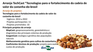 Arranjo de projetos:
Tecnologias para o fortalecimento da cadeia de valor da
castanha-do-brasil
Vigência: 2014 a 2022
Projetos participantes: 11
Projetos prometidos: 10
Principais projetos do arranjo
MapCast: geoprocessamento, geoestatística e
diagnóstico dos principais sistemas de produção
EcogenCast: ecologia e genética das populações
naturais
Melhoramento genético para cultivo da castanheira
Coeficientes técnicos de produção: projeto para avaliar
custos de produção.
Arranjo TechCast “Tecnologias para o fortalecimento da cadeia de
valor da castanha-do-brasil
 
