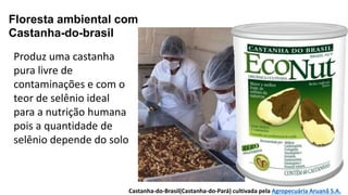 Produz uma castanha
pura livre de
contaminações e com o
teor de selênio ideal
para a nutrição humana
pois a quantidade de
selênio depende do solo
Floresta ambiental com
Castanha-do-brasil
Castanha-do-Brasil(Castanha-do-Pará) cultivada pela Agropecuária Aruanã S.A.
 