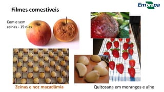 Com e sem
zeínas - 19 dias
Zeínas e noz macadâmia Quitosana em morangos e alho
Filmes comestíveis
 