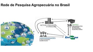 Rede de Pesquisa Agropecuária no Brasil
 