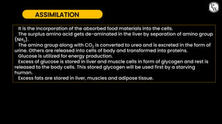 01 CBSE_Class10th_Biology_Life Processes[Nutrition].pptx